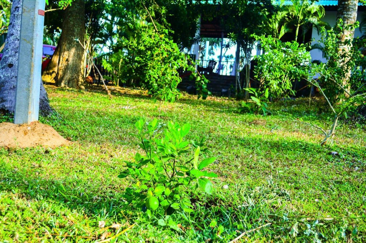 Helios Beach Resort Tangalle Kültér fotó