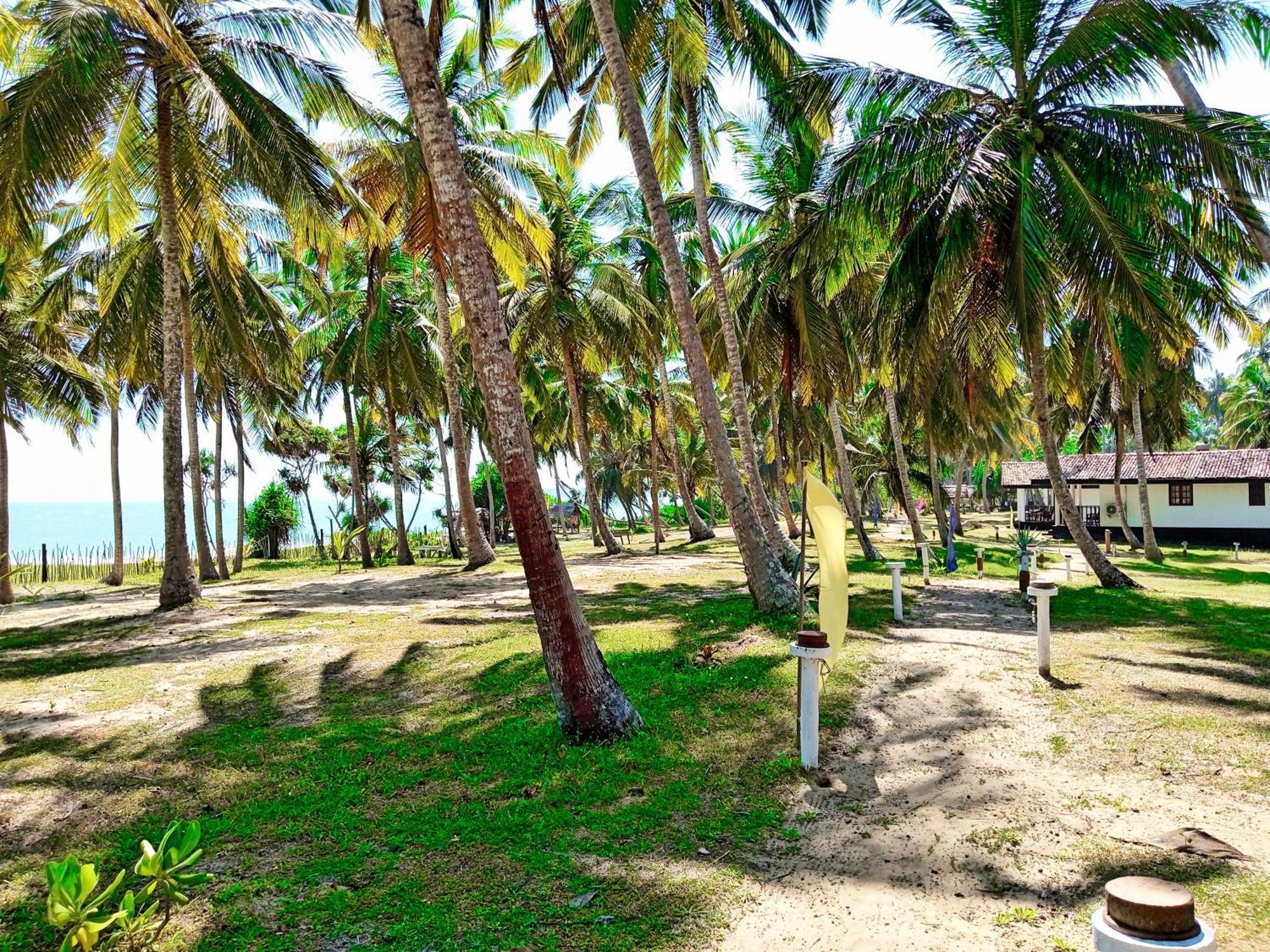 Helios Beach Resort Tangalle Kültér fotó