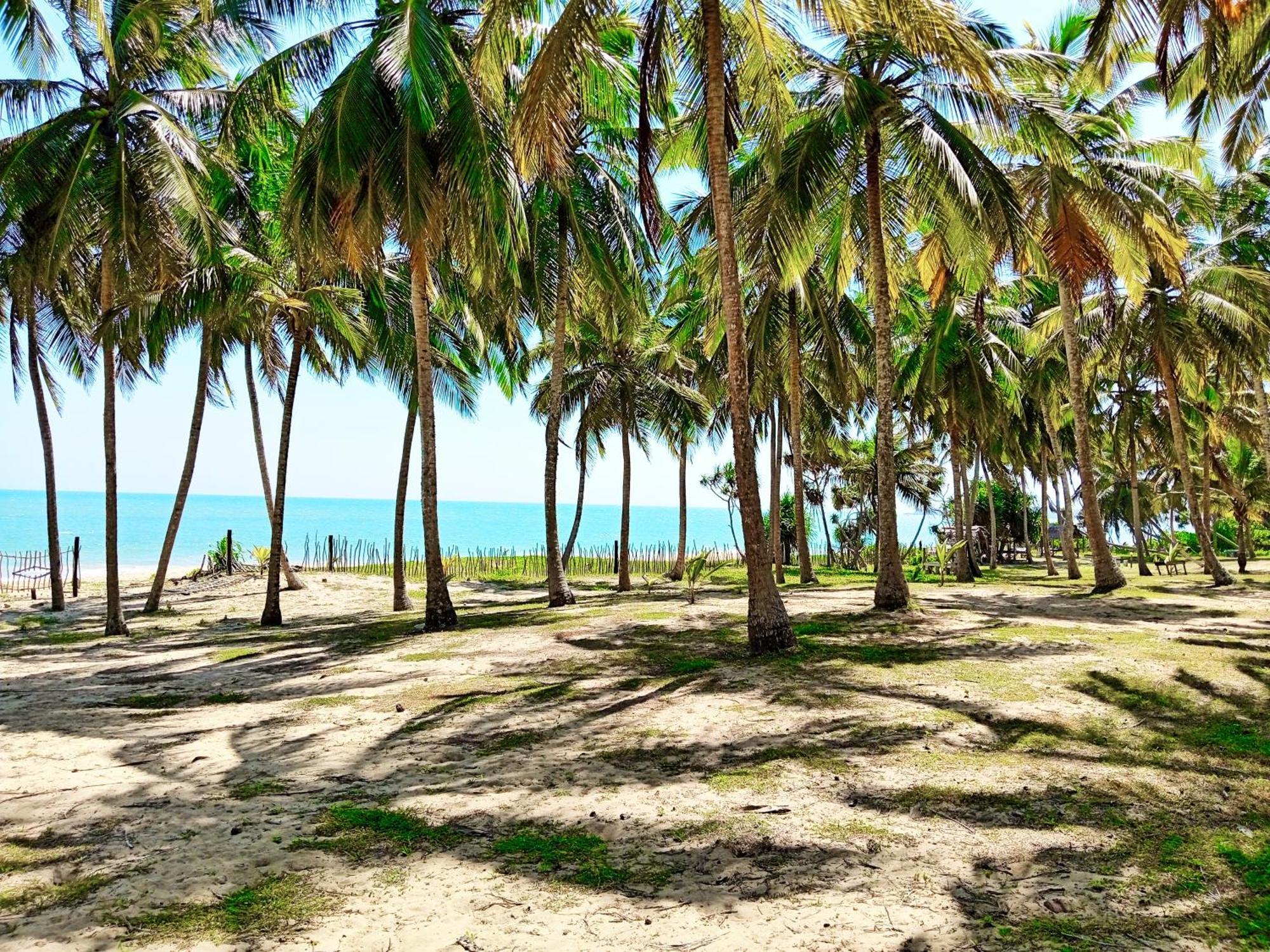 Helios Beach Resort Tangalle Kültér fotó
